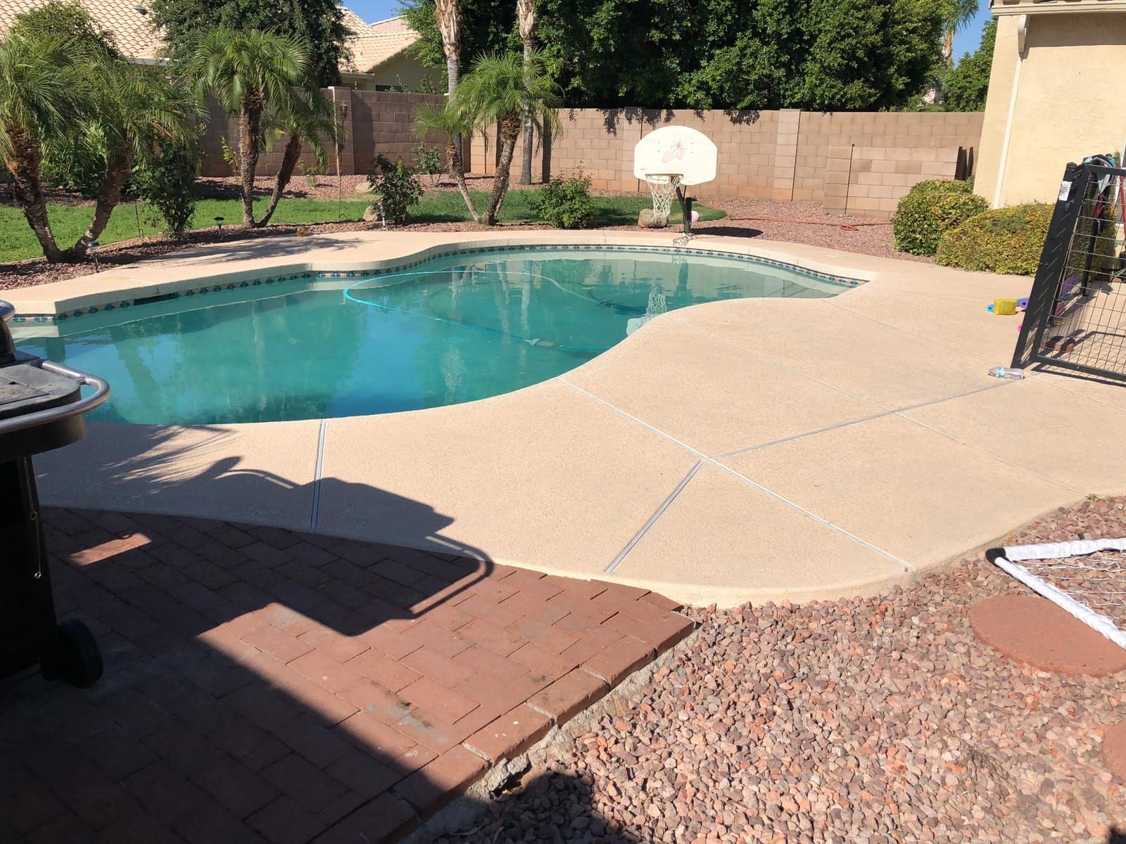 A freeform pool with fresh cool decking and decorative waterline tile in a desert backyard with palms, gravel beds and block walls.