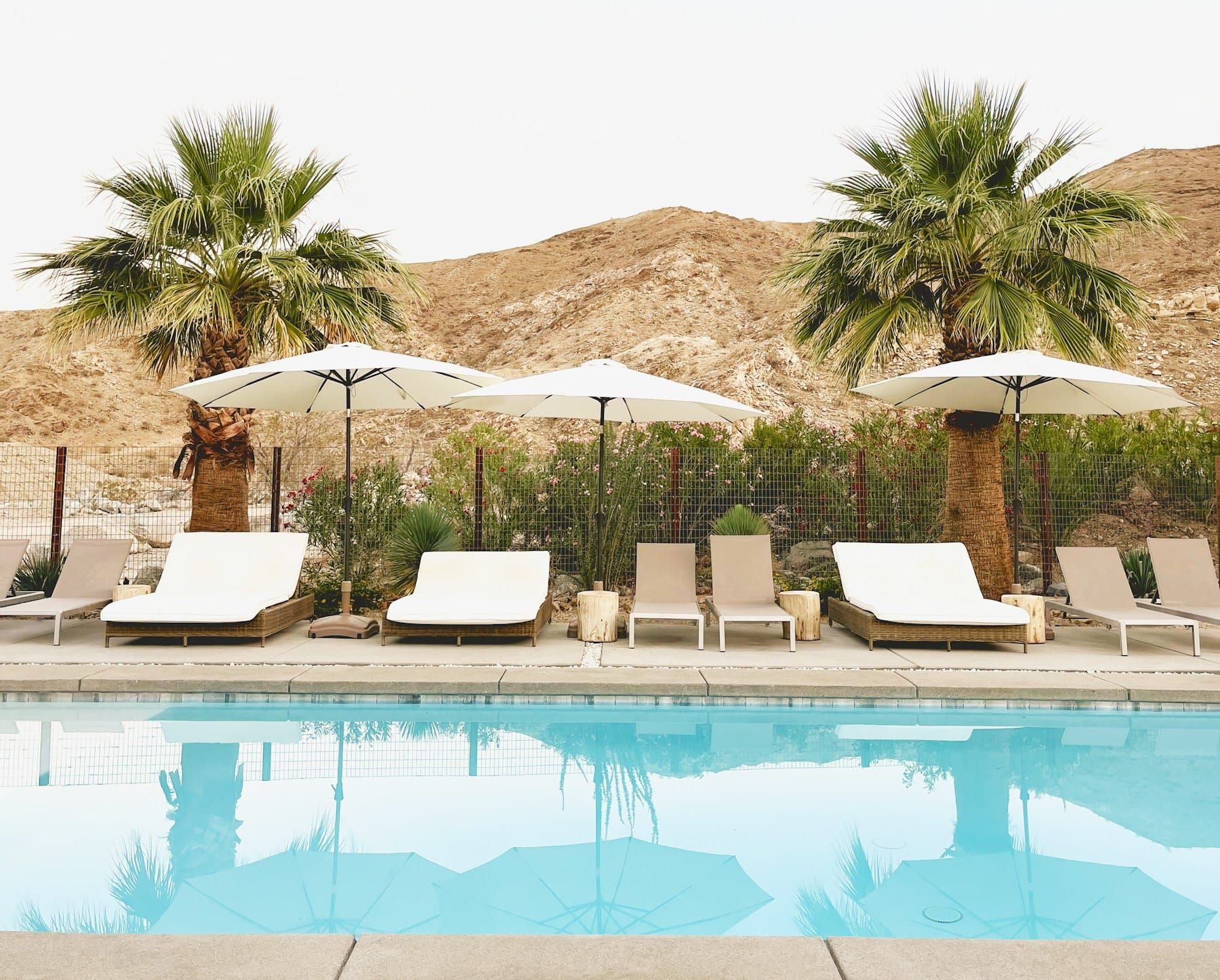 White loungers and umbrellas beside a pale-blue pool below a rocky desert hillside, framed by fan palms and flowering oleander.