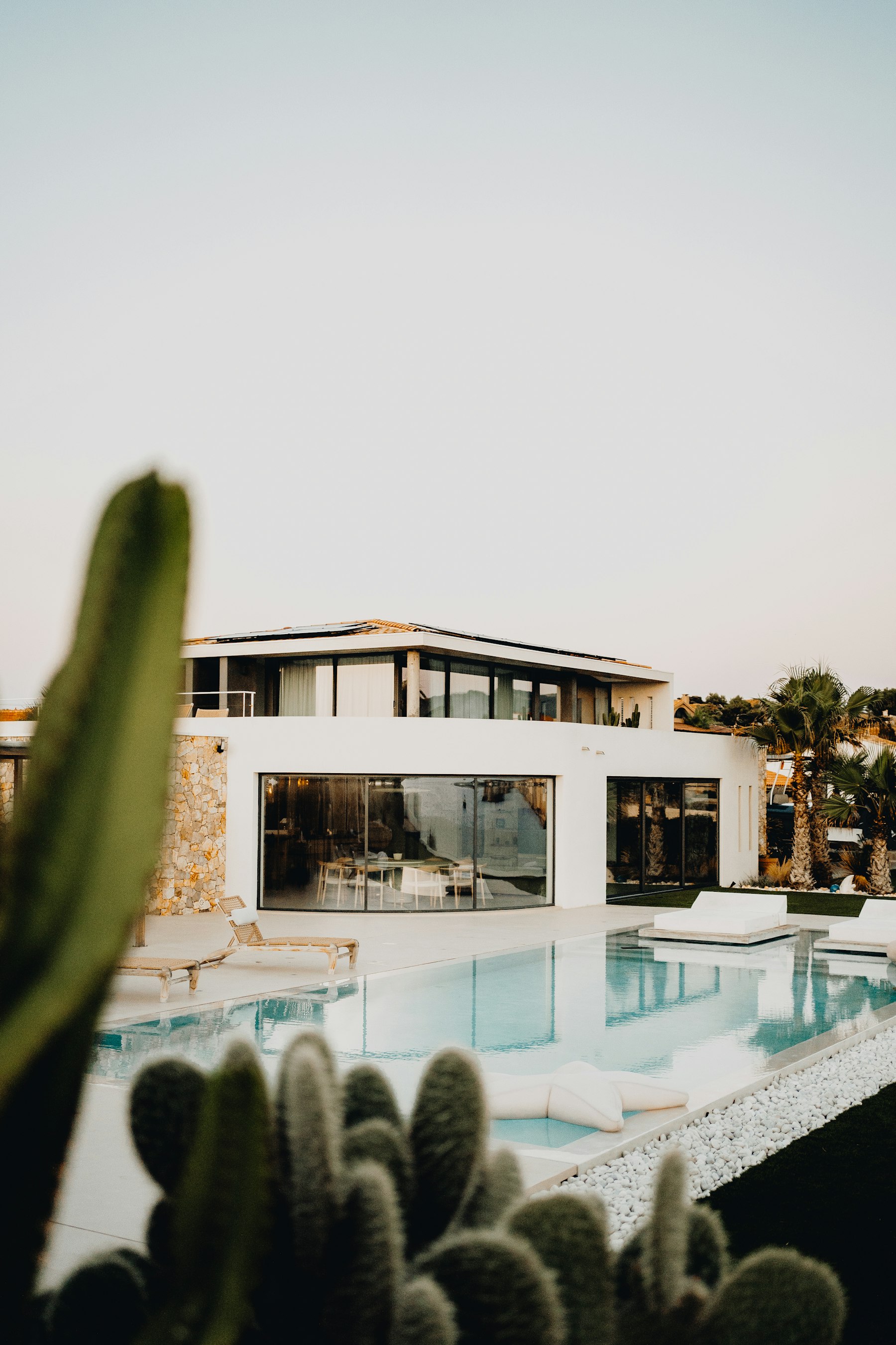 A clean-lined pool with white decking and a sun shelf, framed in the foreground by prickly pear and columnar cactus at dusk.