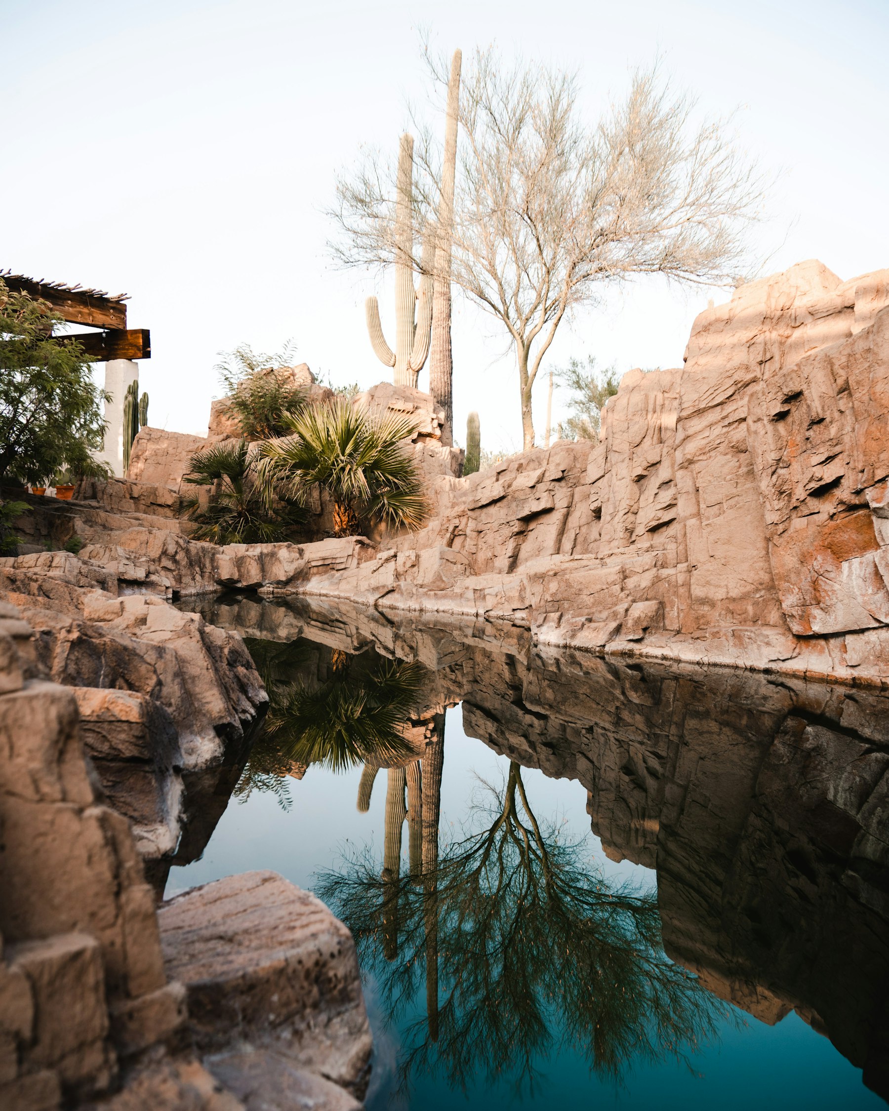 A rock-lined desert pool reflecting tall saguaro cactus, palo verde and boulder outcrops in warm evening light.