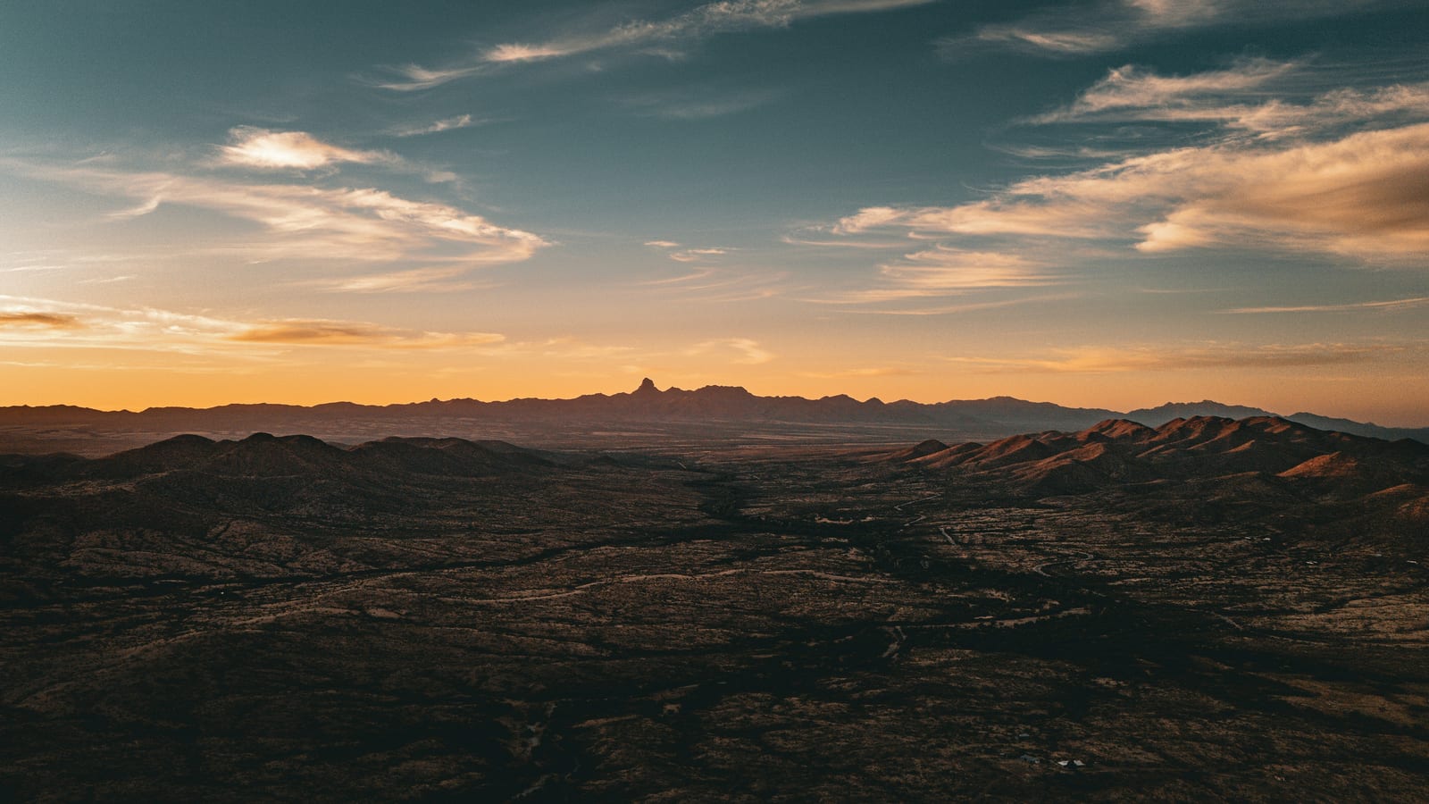 The Sonoran Desert at golden hour outside Phoenix, Arizona.